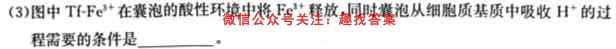 2023届吉林省高三试卷12月联考(23-207C)生物