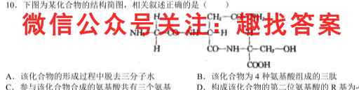 百师联盟 2023届高三一轮复习联考(五)湖北卷生物