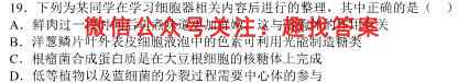 河南省信阳市2022-2023学年普通高中高三第二次教学质量检测生物