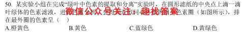 2023届普通高等学校招生全国统一考试仿真模拟卷(二)2生物