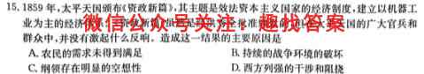 2022年新高考联考协作体 衡水金卷高二12月联考历史