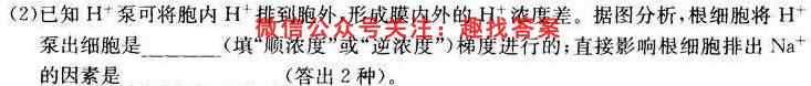 金考卷·百校联盟(新高考卷)2023年普通高等学校招生全国统一考试 领航卷(六)6生物