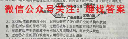2023届衡水金卷先享题 调研卷 全国卷(一)1生物