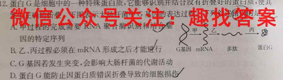2023年普通高等学校招生全国统一考试名校联盟·模拟信息卷(二)2生物