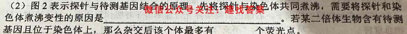 2023届神州智达高三题型专练与纠错活页练 新高考 一生物