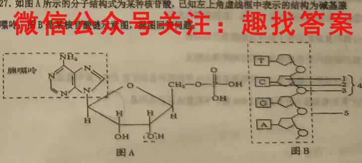 高考必刷卷2023年全国高考名校名师联席名制(新高考)信息卷(六)生物