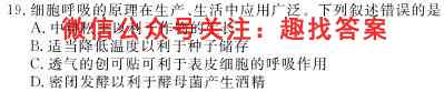 2023届中国好试卷·高考信息卷(十一)11生物