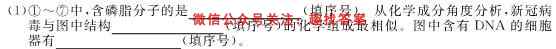 衡水金卷先享题调研卷2023届 新教材一二三生物