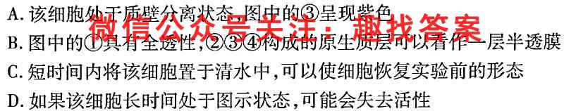 2023届衡水金卷先享题调研卷 河北版(六)生物