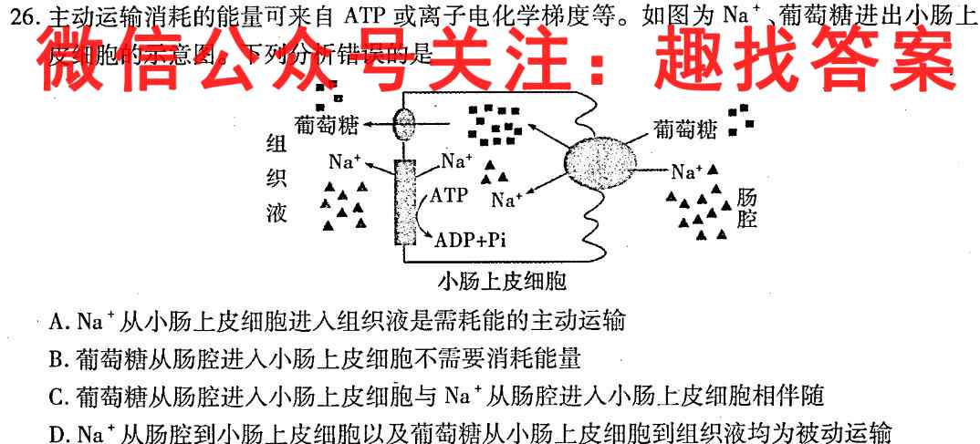 2023届高考信息检测卷(新高考)六6生物