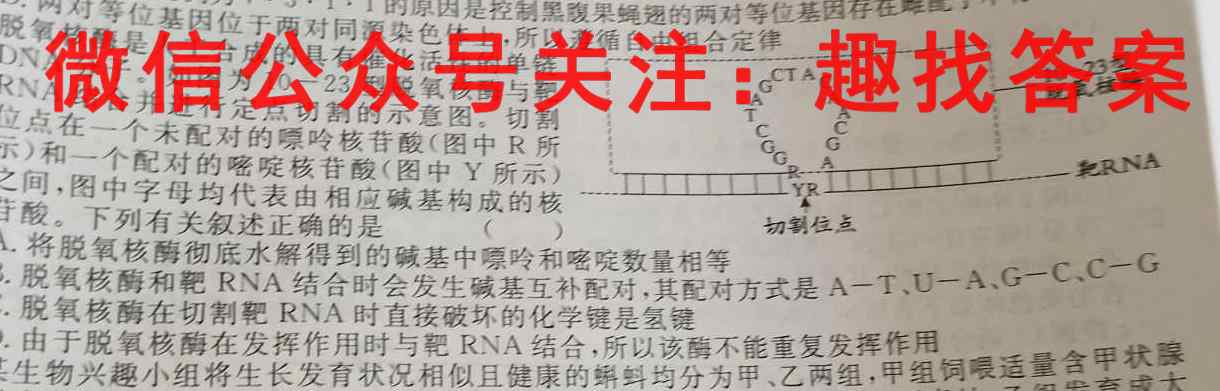 2023届培优限时练·名校信息优化卷(三)3生物