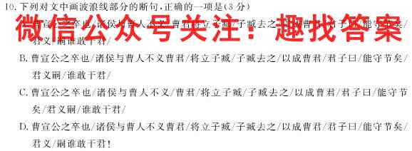 衡中同卷 2022-2023学年度高三一轮复*滚动卷 新教材(二)2语文