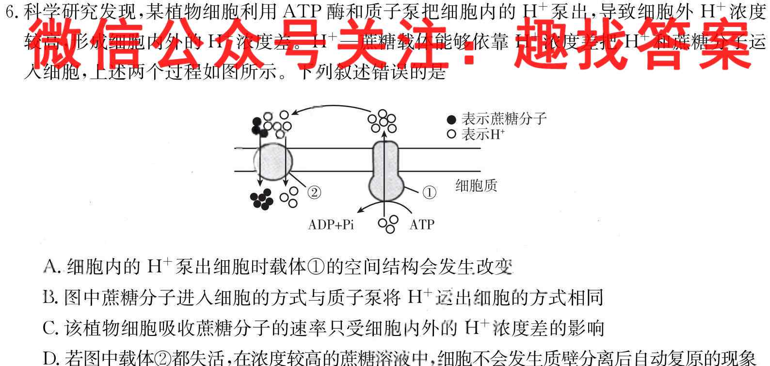 2023届衡水金卷先享题调研卷 山东版(四)生物