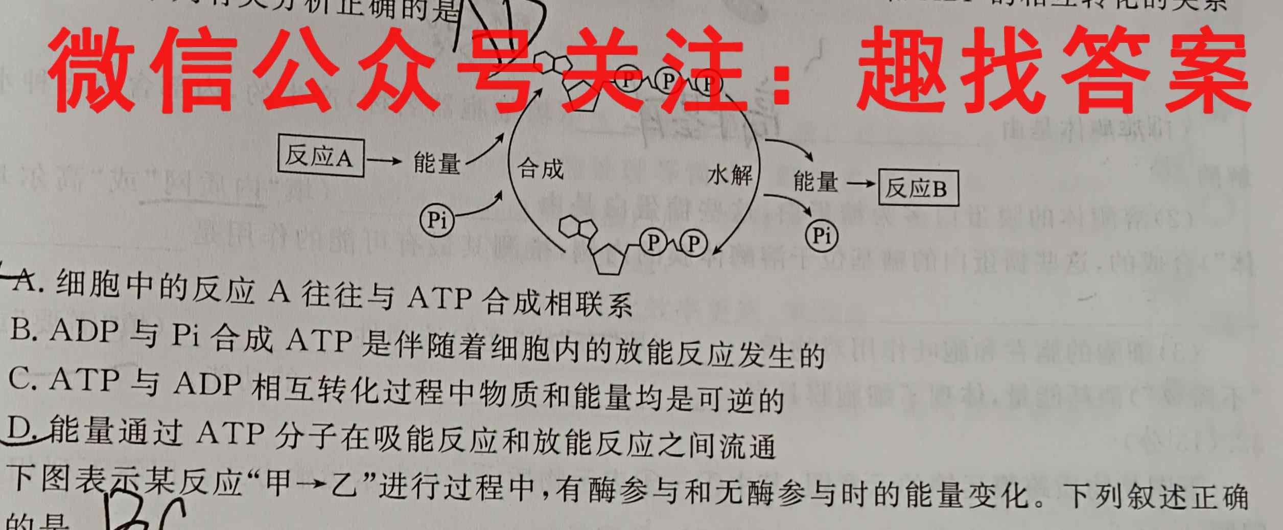 2023年普通高等学校招生全国统一考试 23·JJ·FZMJ 金卷仿真密卷(九)9生物