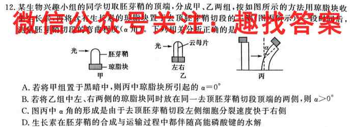 名校之约 2023届高三分科模拟检测卷4生物