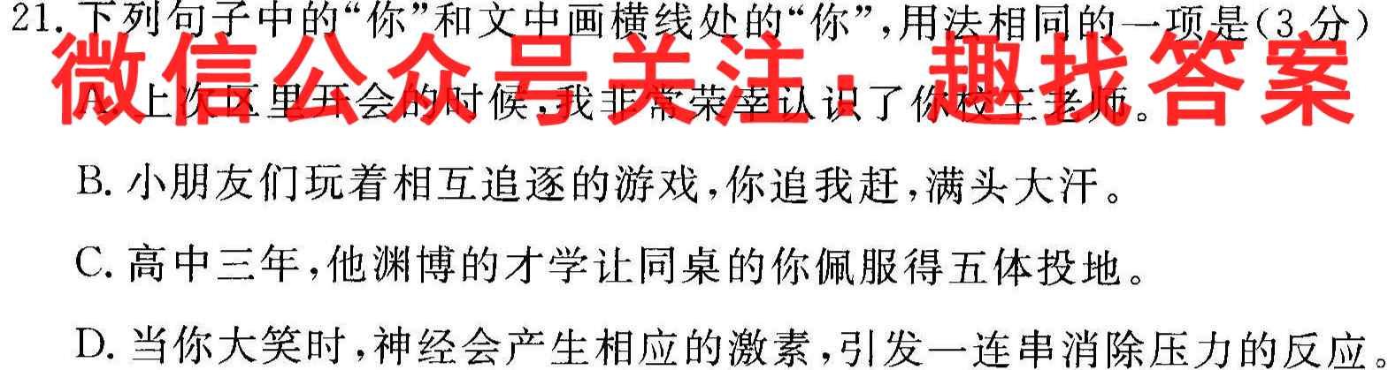 衡中同卷 2022-2023学年度高考分科综合测试卷 新教材/新高考(二)2语文