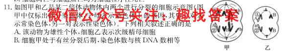 2023年浙江省选考高三四校12月联考生物