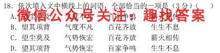 北京市石景山区2022-2023学年第一学期高一期末语文