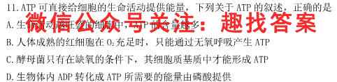 2023普通高等学校招生全国统一考试·模拟调研卷(三)3生物试卷答案