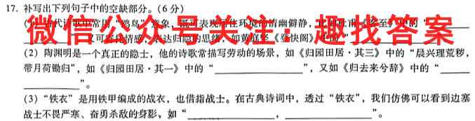 2023届新疆高三试卷1月联考(23-254C)语文