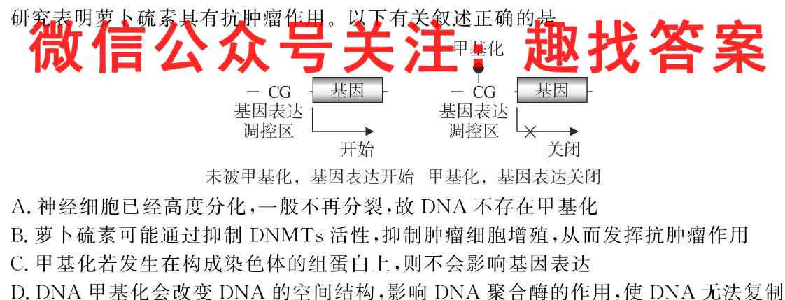 炎德英才大联考长郡中学2023届高三月考试卷(四)生物试卷答案