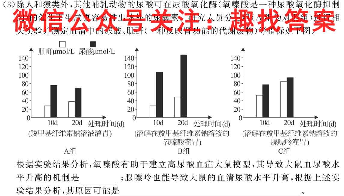 2023年普通高等学校招生全国统一考试名校联盟·模拟信息卷(二)2生物