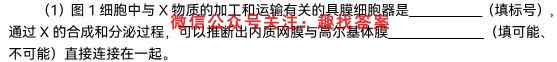 2023年湖北省孝感市高二1月期末考试生物