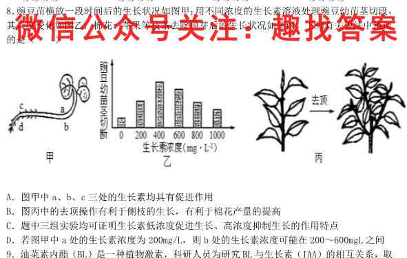 安徽第一卷·2022-2023安徽省九年级教学质量检测(四)4生物试卷答案