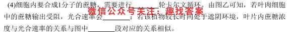 西南名师联盟2023届高考实用性联考卷(四)4生物