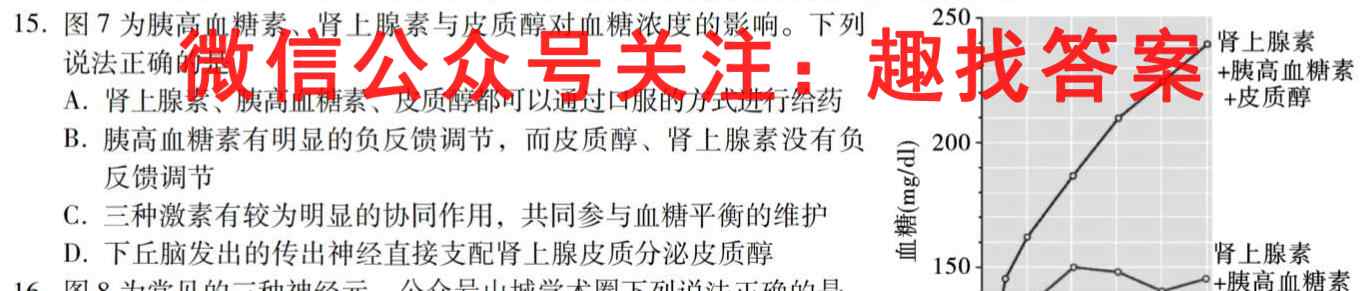 2023届普通高等学校招生全国统一考试综合信息卷(四)4生物试卷答案