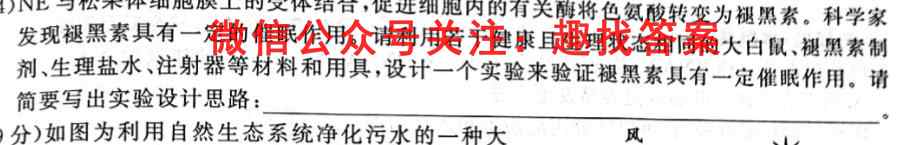 2023届全国普通高等学校招生统一考试(新高考) JY高三模拟卷(3三)生物