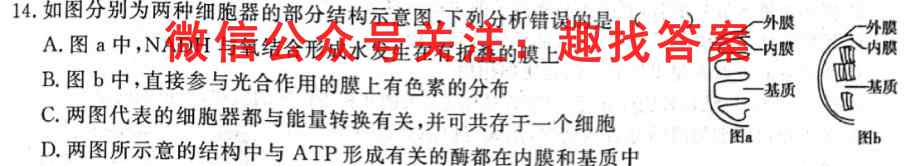 2023届衡中同卷 调研卷 全国卷(五)5生物