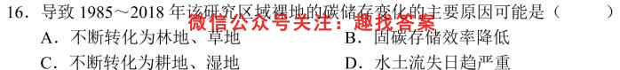 河南省鹤壁市2024届高二年级下学期第一次段考地理