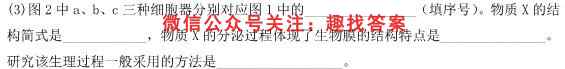 2023届普通高等学校招生全国统一考试仿真模拟卷(四)4生物