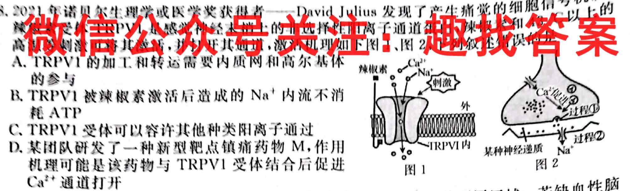 2023届衡水金卷先享题调研卷 河北版(六)生物试卷答案