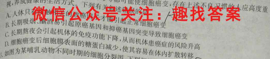 2023届中国好试卷·高考信息卷(十一)11生物