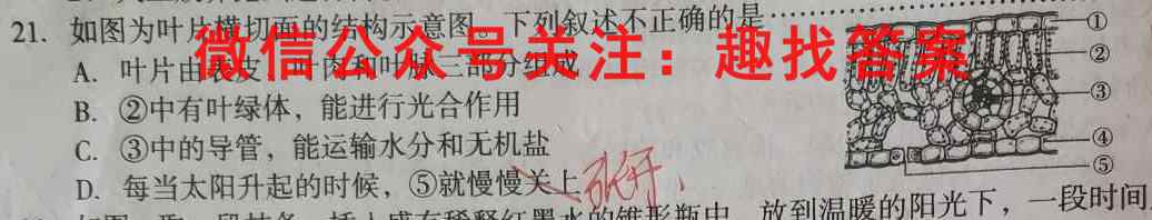 衡中同卷 2022-2023学年度高考分科综合测试卷 新教材/新高考(二)2生物试卷答案