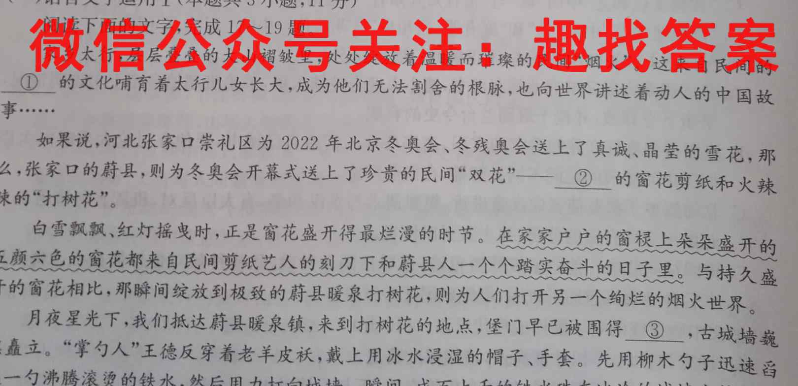 2023届培优限时练·名校信息优化卷(四)4语文