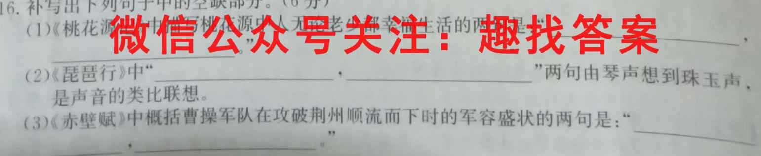 2023届高三全国统一招生考试信息冲刺卷(四)4语文