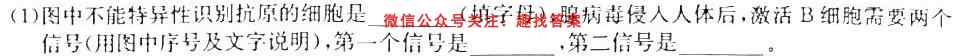 炎德英才大联考 2023年普通高等学校招生全国统一考试考前演练二2生物试卷答案