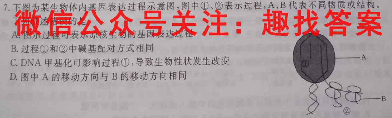 神州智达 2022-2023高三省级联测考试 质检卷Ⅱ(三)生物试卷答案