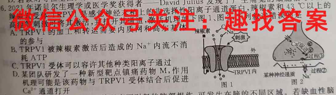 衡中同卷 2022-2023学年度高三一轮复习滚动卷 新教材(四)4生物