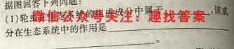 2023届高考精准备考原创模拟卷(四)生物试卷答案