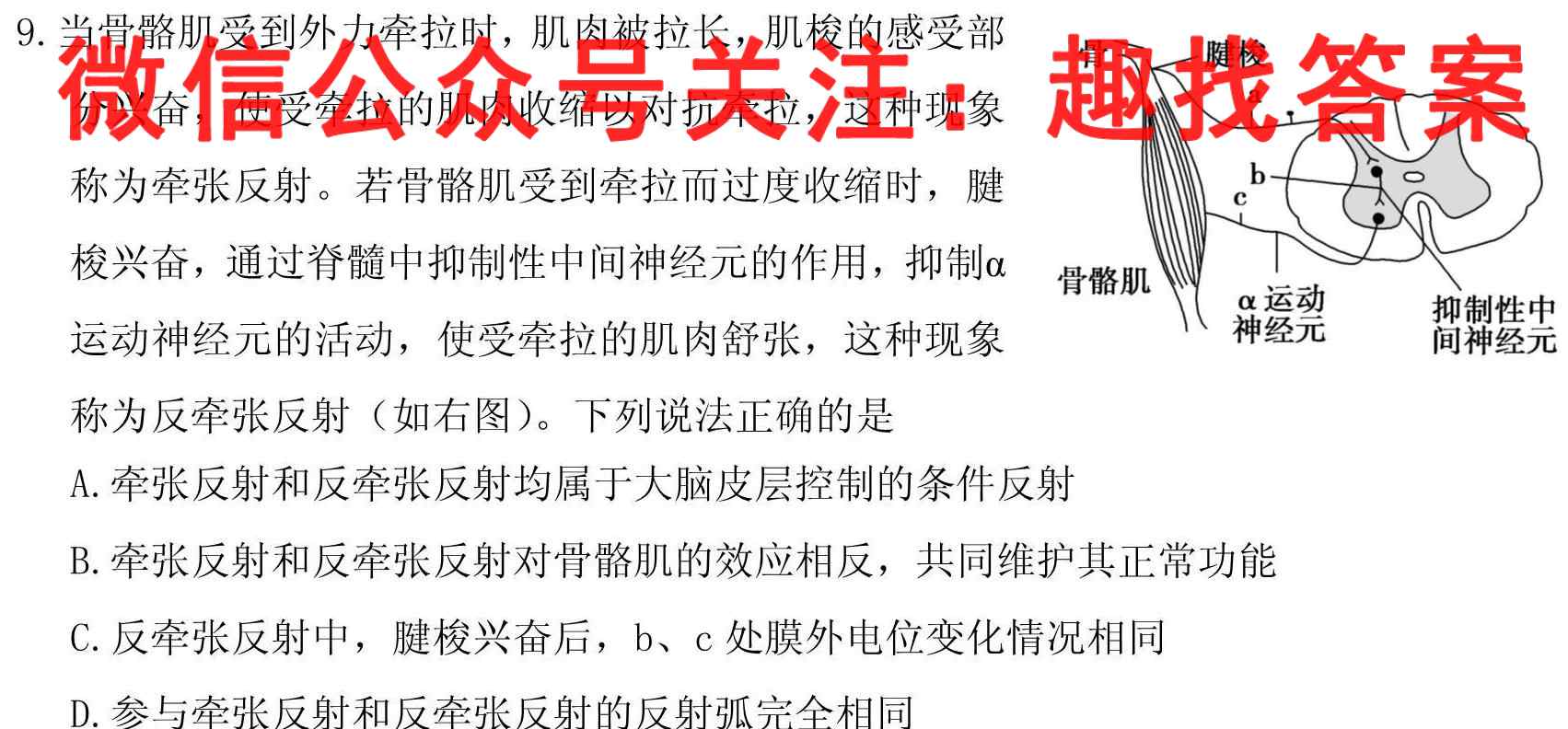 2023年普通高等学校招生全国统一考试模拟试题一1生物试卷答案