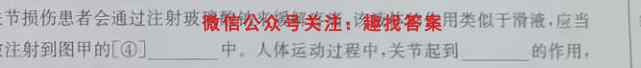 湖南省岳阳市2023届高三下学期入学考试(2023.02)生物试卷答案