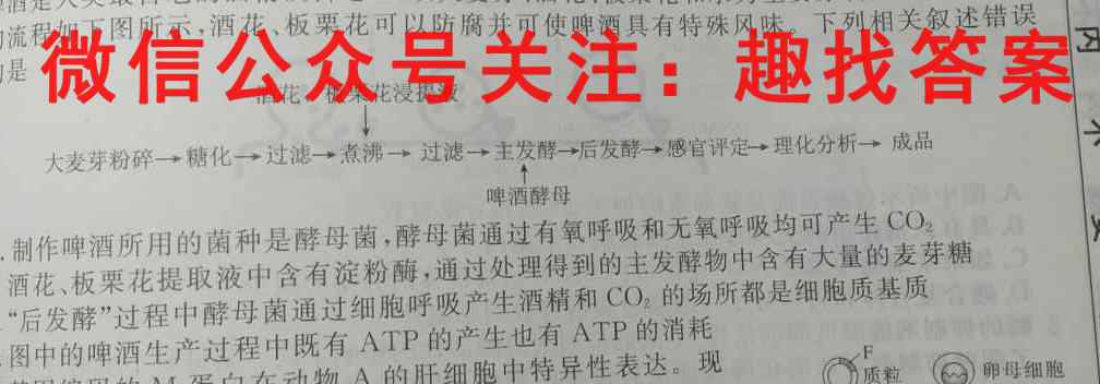 2023届高考精准备考原创模拟卷(六)生物试卷答案