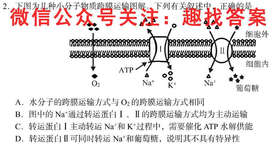 衡水金卷先享题2022-2023上学期高三年级六调(新教材)生物