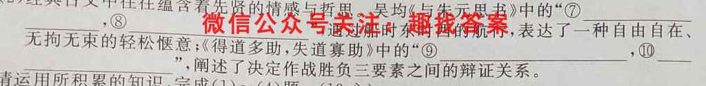 驻马店市2022~2023高三年级期末统一考试(23-216C)语文