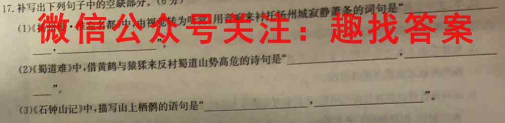 2022~2023年度河南省高三年级模拟考试(23-213C)语文