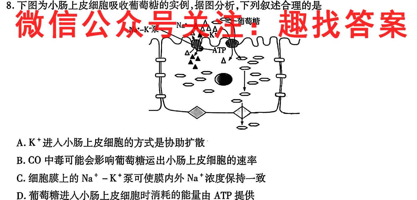 2023普通高等学校招生全国统一考试模拟信息卷XKB-E(YN、AH、SX、HLJ、JL)(五)5生物试卷答案